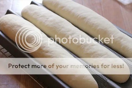 Hướng Dẫn Nướng Bánh Mì Baguette Giá Cả Hợp Lý Tại Gia