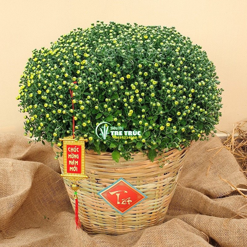 Bánh mì cần xé bày trí độc đáo