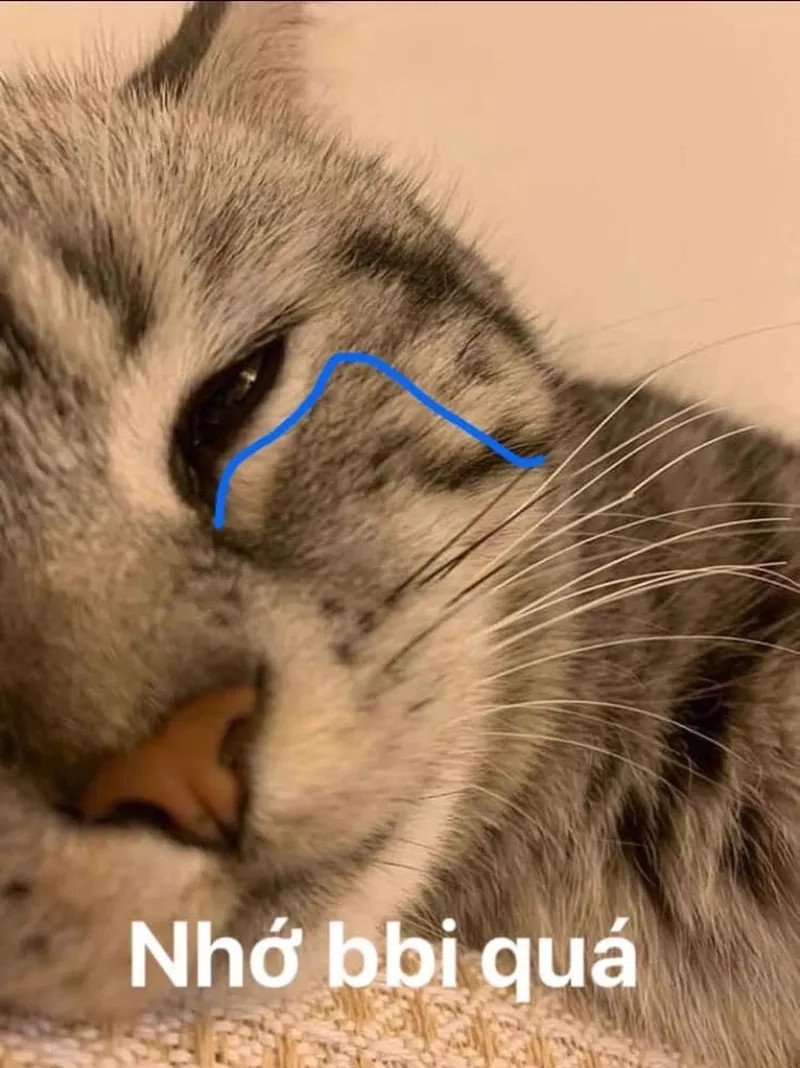 Bánh mì ghi nhớ thông tin với hình ảnh chú mèo máy Doraemon đang lo lắng cho Nobita