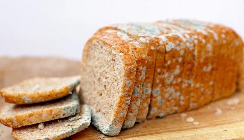 Bánh mì lát sandwich bị nấm mốc với đốm xanh lá cây