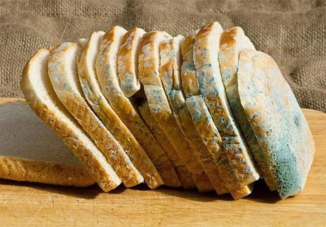 Bảo Quản Bánh Mì Đúng Cách Để Ngăn Ngừa Nấm Mốc