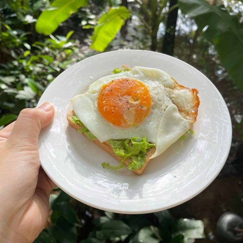 Bánh mì sandwich tam giác ốp la trứng thành phẩm hấp dẫn