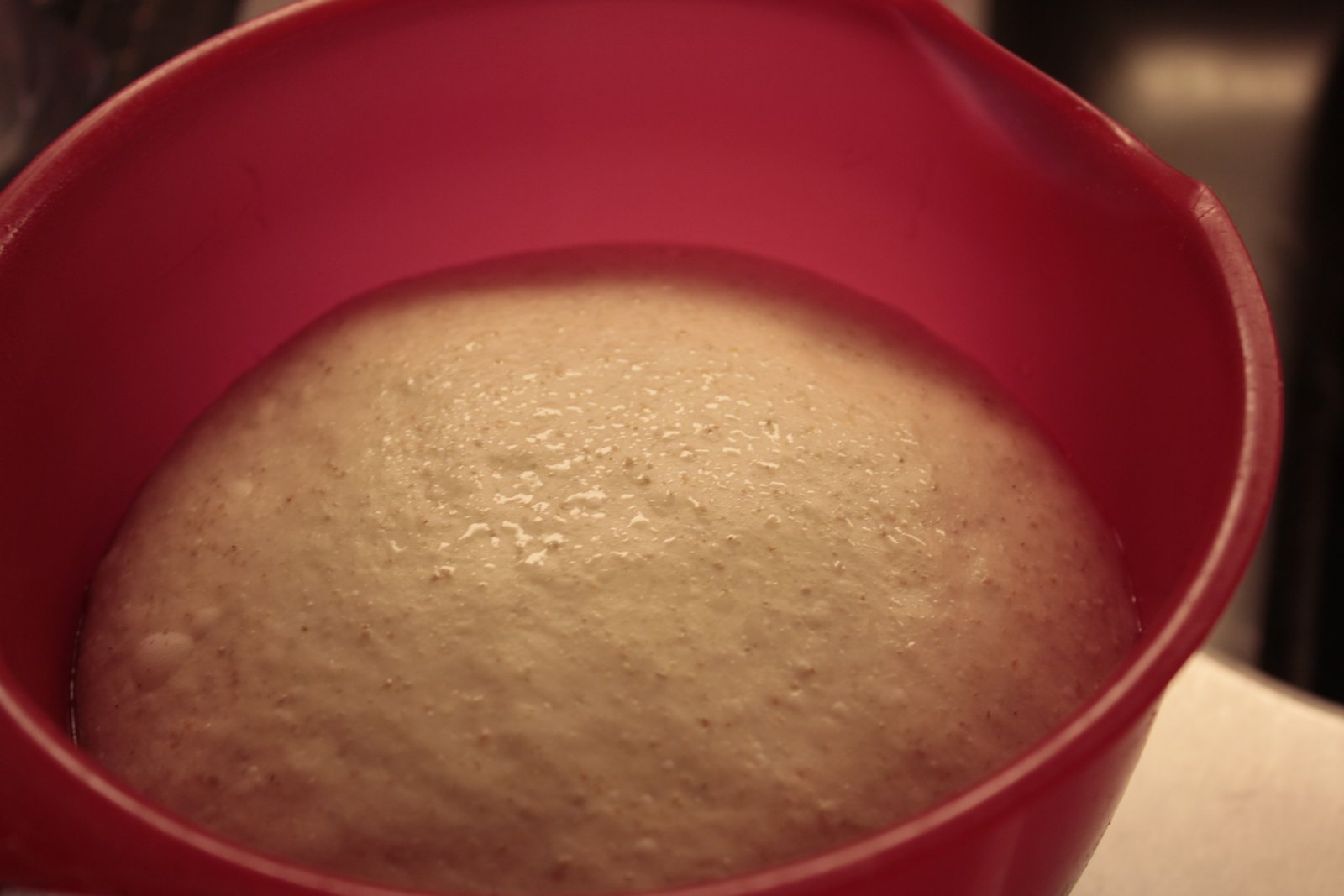 Bột bánh mì nở sau khi ủ lần đầu