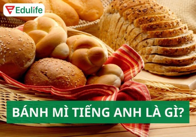 Chiếc bánh mì baguette vàng giòn, biểu tượng ẩm thực quốc tế, minh họa khái niệm bánh mì tiếng Anh là gì.