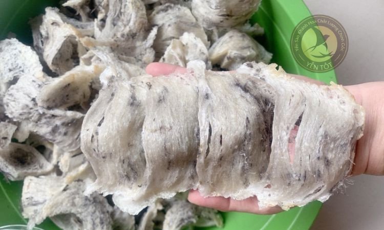 Giá trị dinh dưỡng tổ yến bánh mì