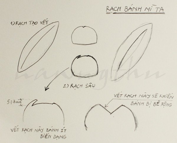 Hướng dẫn hình vẽ cách rạch bánh mì Việt Nam chi tiết