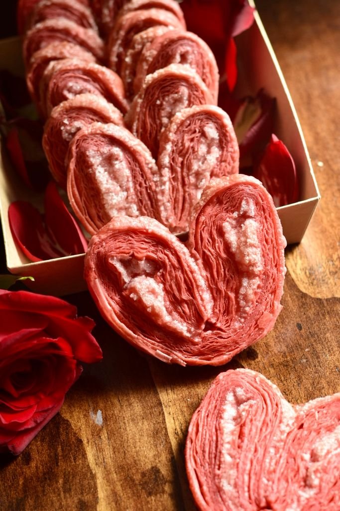 Palmier S 5 Palmier S