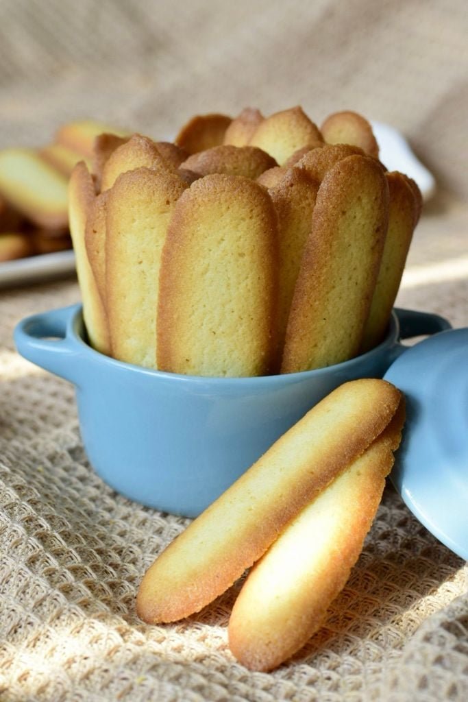 Lưỡi Mèo Hộp 4 Lưỡi Mèo Hộp