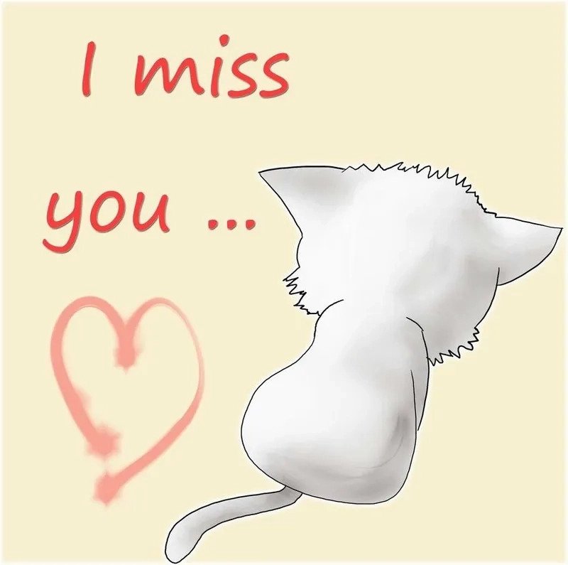 Meme bánh mì trí nhớ thú vị và sáng tạo, gợi nhắc đến bảo bối thần kỳ của Doraemon