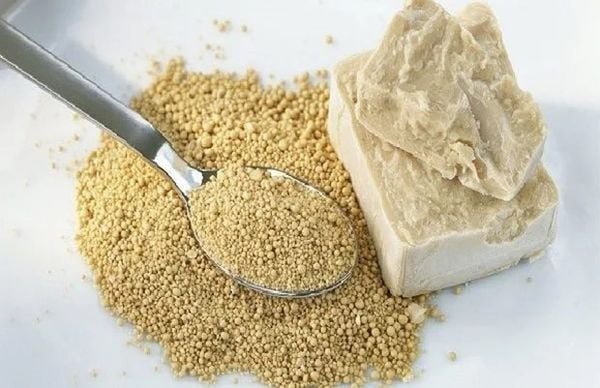 Men nở dạng hạt, thành phần quan trọng để làm bánh mì que