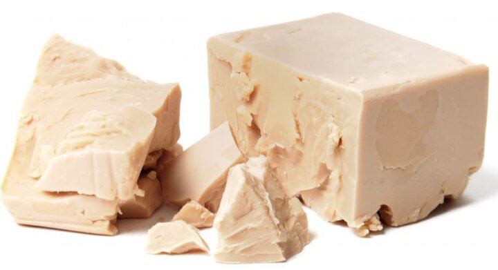 Men tươi dạng bánh nén dùng cho bánh mì