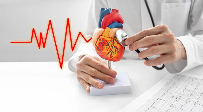 Người có vấn đề sức khỏe như bệnh tim mạch cần cân nhắc lượng calo và chất béo khi thưởng thức bánh mì heo quay.