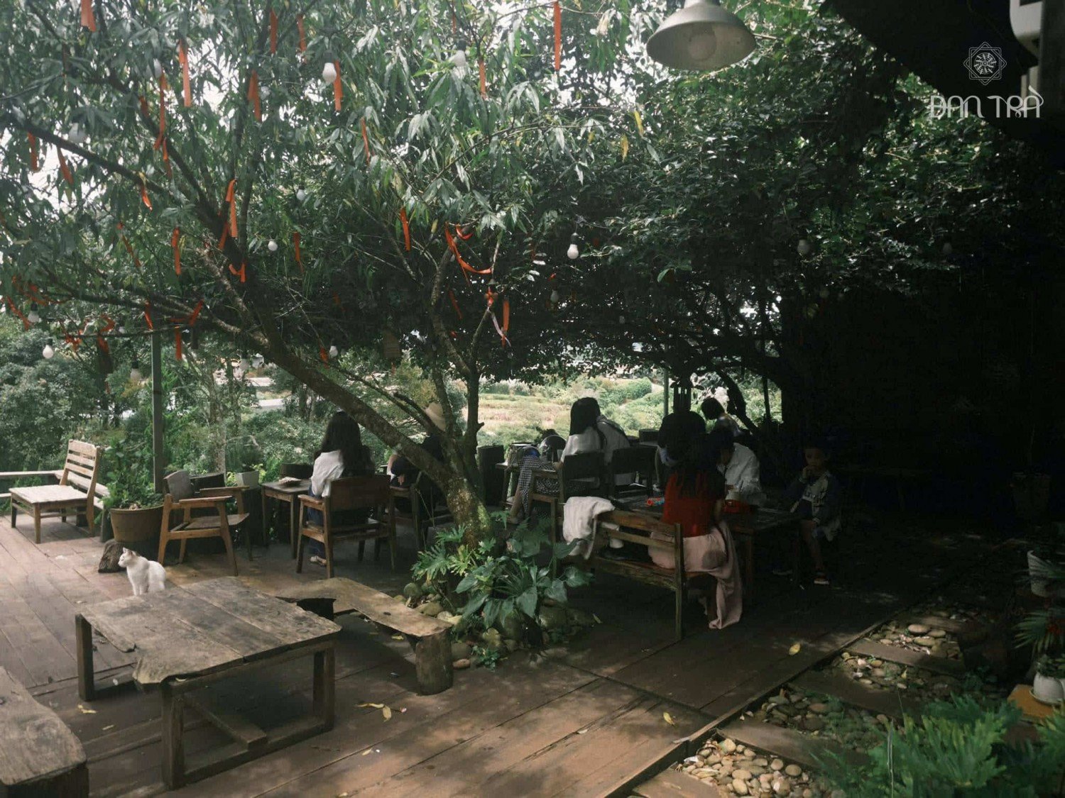 Quán chay với không gian mộc mạc, gần gũi thiên nhiên