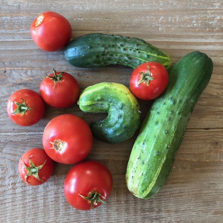 Rau củ tươi cho salad