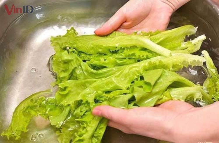 Rau xà lách tươi xanh rửa sạch dùng kèm bánh mì trứng thịt