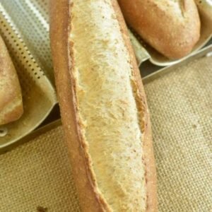Sourdough Tươi Cám Mật ong
