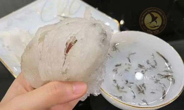 Sơ chế tổ yến bánh mì