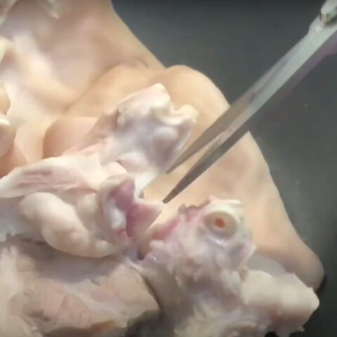 Sơ chế và ướp phá lấu heo