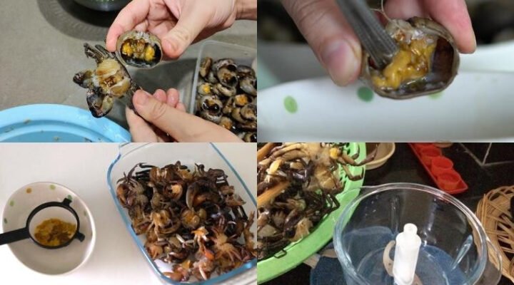 Cách Nấu Bún Riêu Cua Dấm Bỗng Chuẩn Vị Gia Đình Thơm Ngon