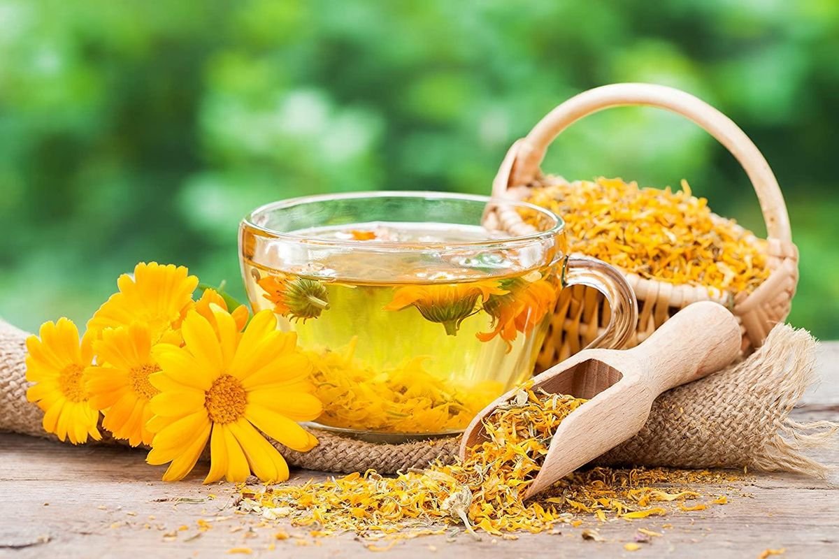Cách nấu trà cúc Hải Phòng thanh mát dễ uống ngày hè