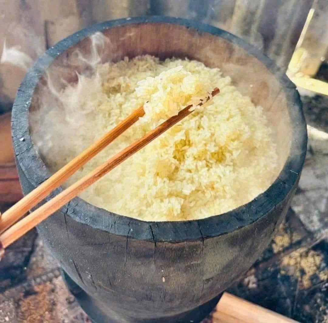 Học ngay cách nấu gạo nếp non Tú Lệ dẻo thơm khó cưỡng
