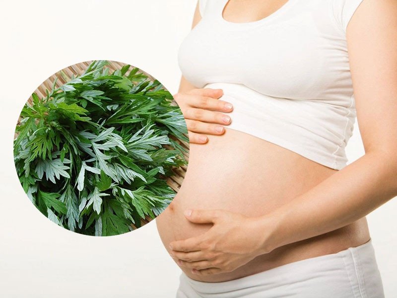 Bà bầu thận trọng khi thưởng thức gà hầm ngải cứu để đảm bảo sức khỏe mẹ và bé.