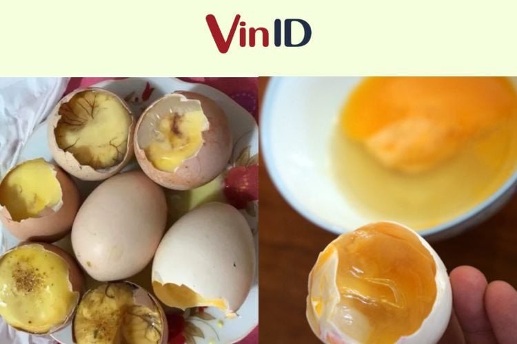 Bảng so sánh chi tiết trứng gà ấp dở và trứng ung giúp nhận biết sự khác biệt