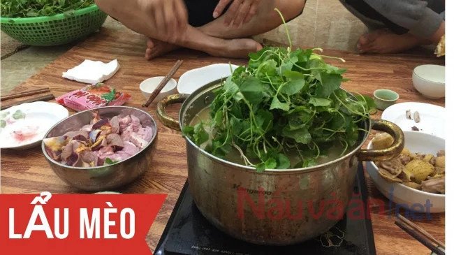 Bát lẩu mèo thơm ngon chuẩn vị miền Bắc