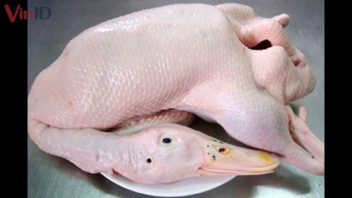 Bí quyết chọn vịt tươi ngon cho món vịt kho măng đậm đà