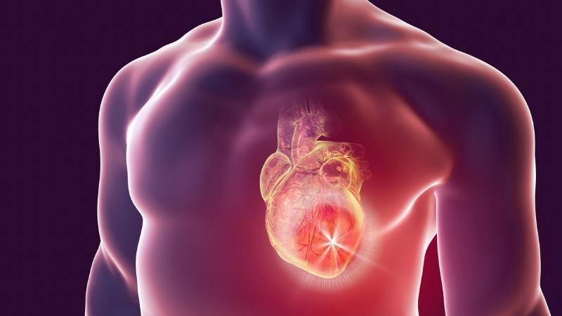 Bông cải trắng cắt lát, tốt cho sức khỏe tim mạch và chống oxy hóa