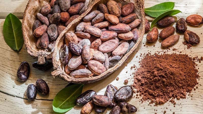 Bột cacao nguyên chất dùng để làm sáp wax dưỡng da