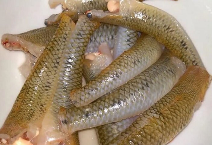 Cá bống tươi ngon đã được sơ chế sạch sẽ sẵn sàng cho món cá bống kho tiêu