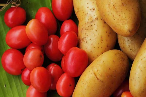 cà chua tươi ngon kết hợp với khoai tây