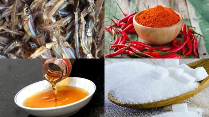 Cá cơm khô chất lượng tốt