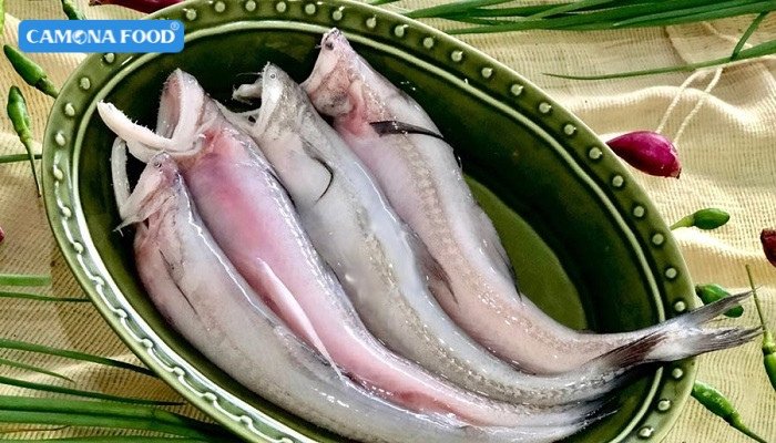 Cá khoai là loại cá gì?