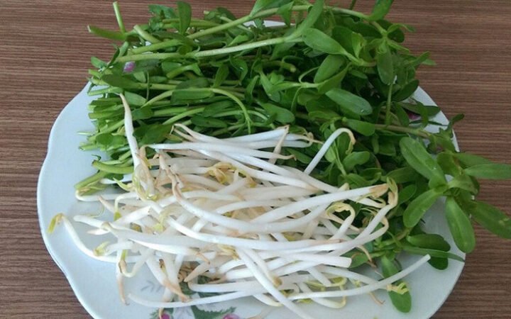 Cá lóc đã sơ chế sạch sẽ, sẵn sàng cho công đoạn nấu cháo cá lóc