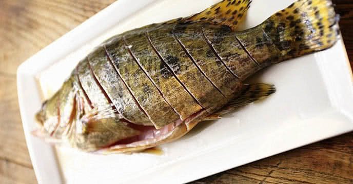 Cá mú đã được sơ chế và ướp gia vị đầy đủ