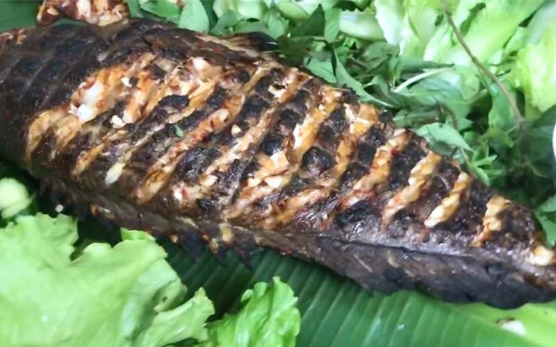Cá mú nướng sa tế thơm ngon