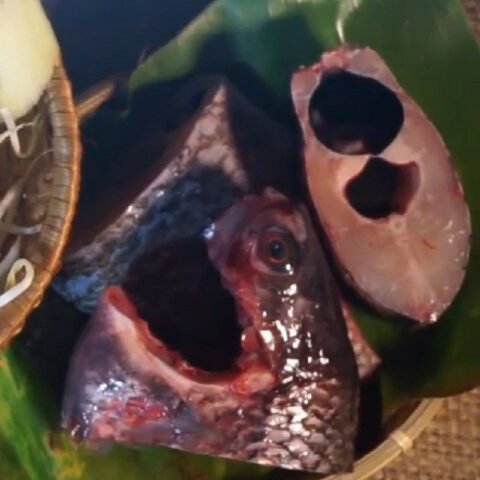 Cá rô phi đã sơ chế sạch sẽ và cắt khúc sẵn sàng chế biến món canh