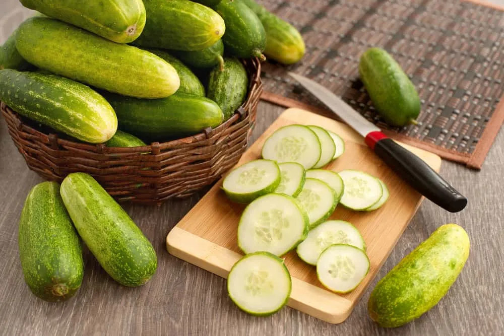 Các lát dưa chuột tươi ngon trên đĩa, thể hiện cách chế biến đơn giản và lượng calo dưa chuột thấp.