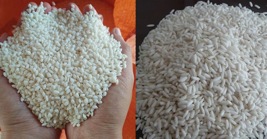 Các loại gạo nếp để nấu xôi vò