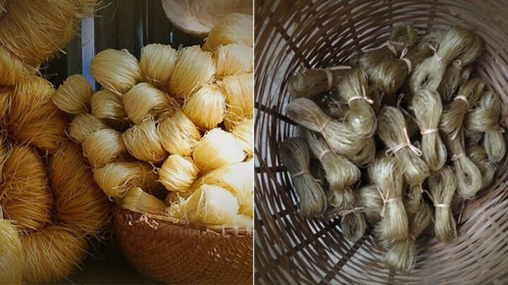 các loại miến phổ biến