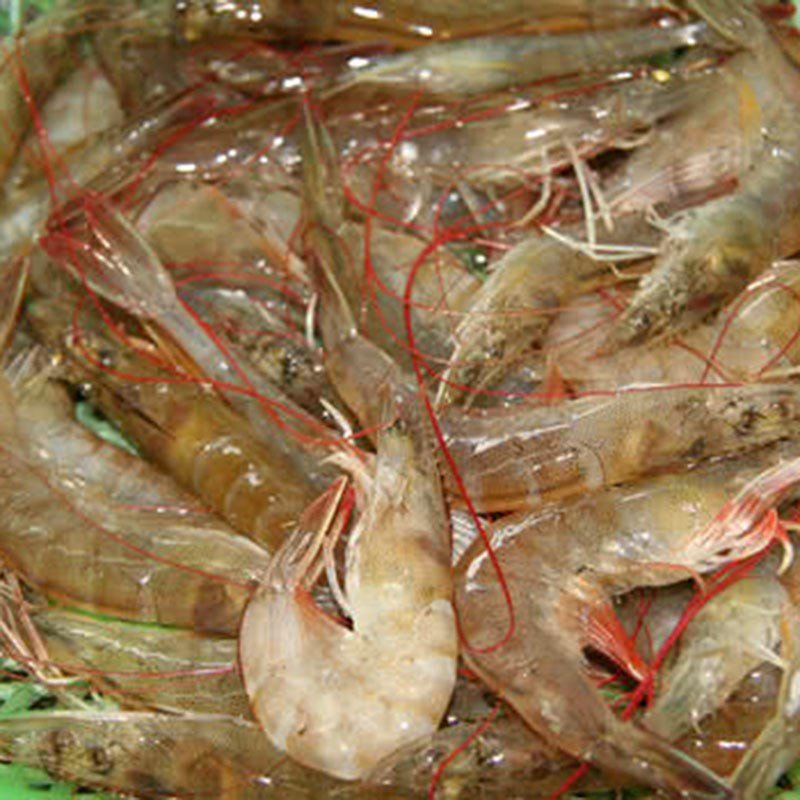 Các loại rau củ tươi ngon đã sơ chế sẵn sàng cho món canh bóng miền Bắc
