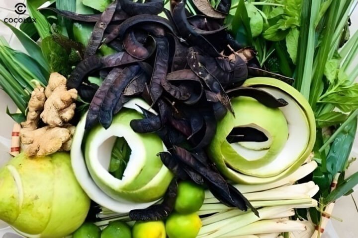 Các loại thảo mộc dùng để tự nấu dầu gội thảo dược tại nhà