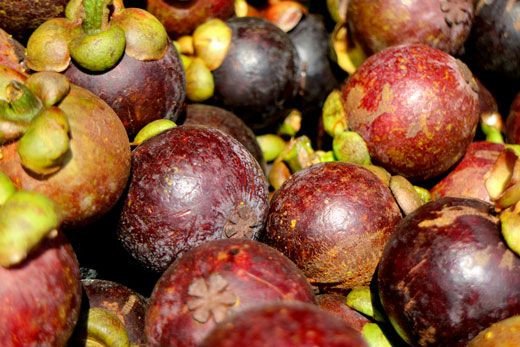 Các múi măng cụt trắng ngần, gợi ý về lượng calo trong 100g măng cụt