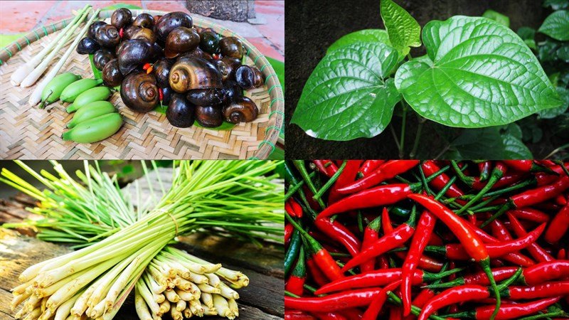 Các nguyên liệu tươi ngon để chế biến món ốc bươu xào lá lốt