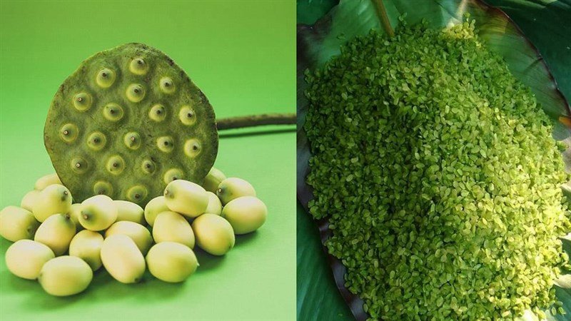 Các nguyên liệu tươi ngon để nấu chè cốm hạt sen truyền thống