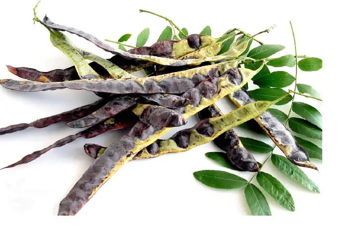 Làm Sao Để Bảo Quản Nước Bồ Kết Nấu Tươi Lâu Nhất?