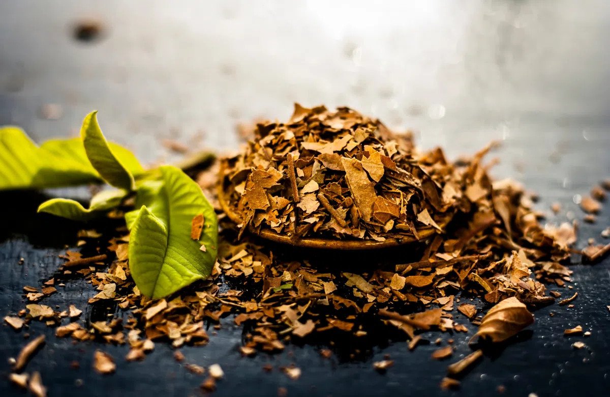 Cách bảo quản nước lá ổi đã nấu