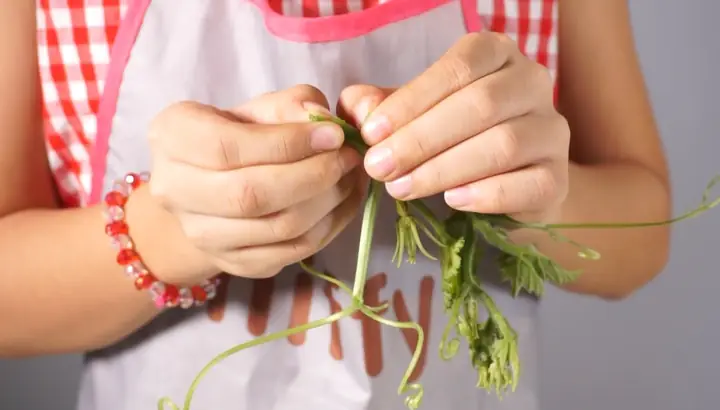 10 Cách Bảo Quản Thức Ăn Đã Nấu Chín Hiệu Quả và An Toàn